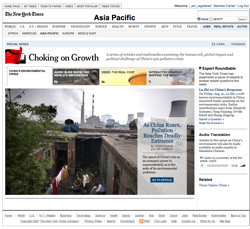 Screenshot NY Times